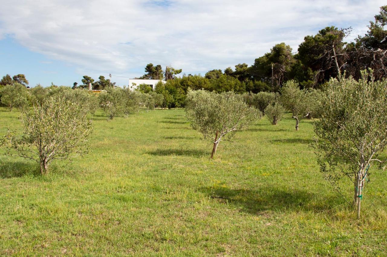 Villa Rosemary Park Zadar Ngoại thất bức ảnh