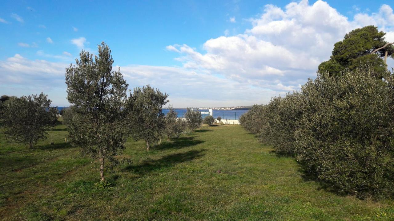 Villa Rosemary Park Zadar Ngoại thất bức ảnh