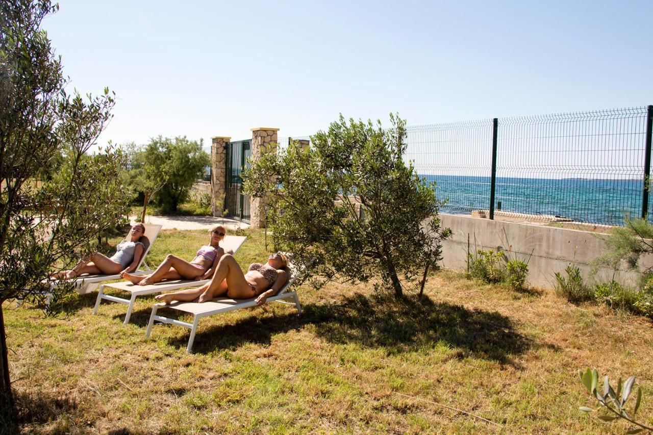 Villa Rosemary Park Zadar Ngoại thất bức ảnh