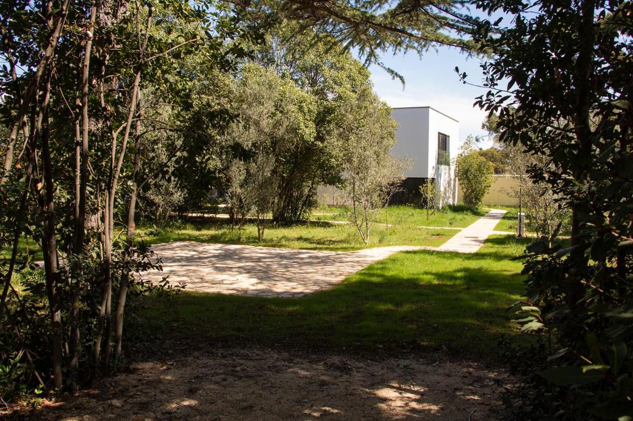 Villa Rosemary Park Zadar Ngoại thất bức ảnh