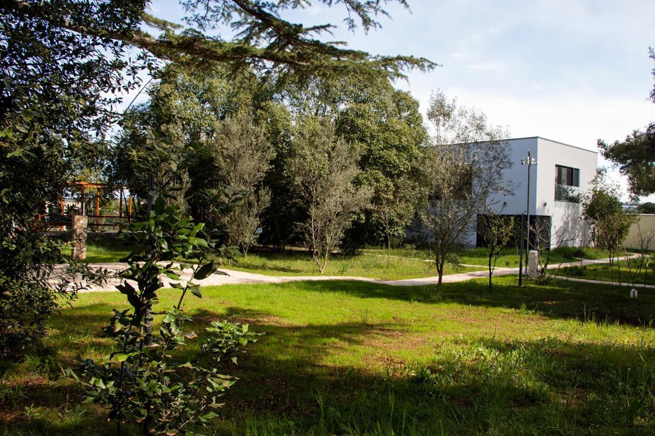 Villa Rosemary Park Zadar Ngoại thất bức ảnh